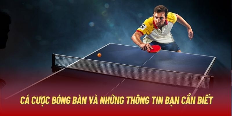 Cá cược bóng bàn và những thông tin bạn cần biết