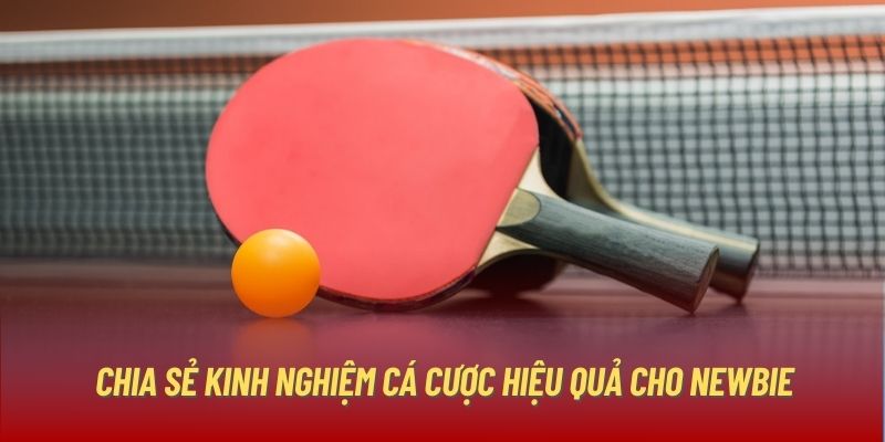 Chia sẻ kinh nghiệm cá cược hiệu quả cho newbie