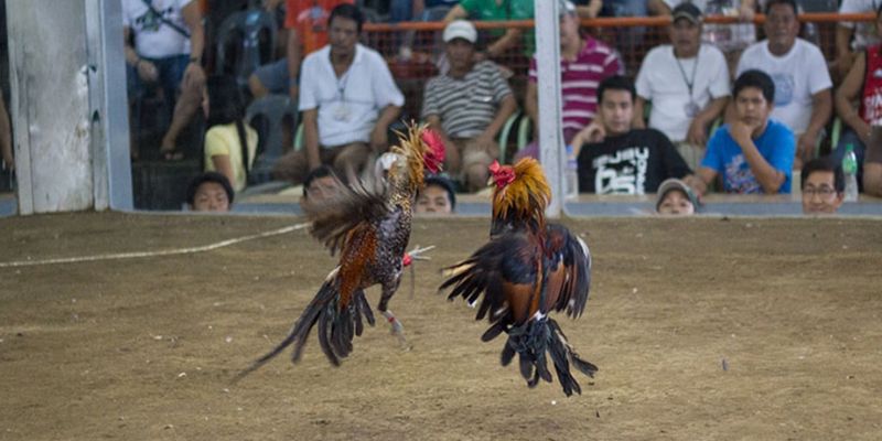 Nơi đây diễn ra trận đấu kịch tính 