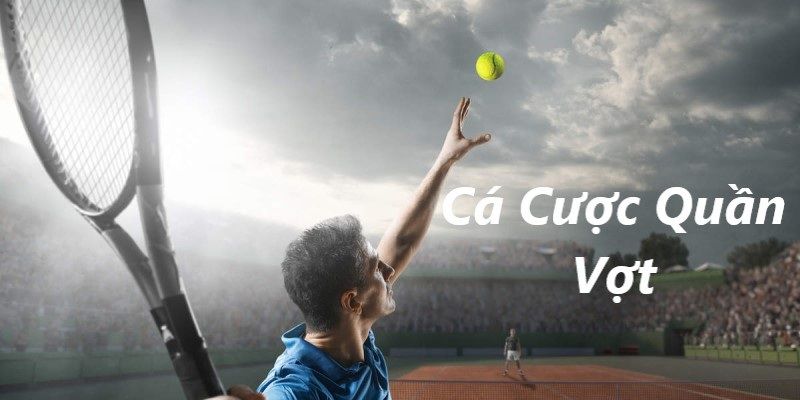 Bật mí các mẹo cược tennis chuẩn xác