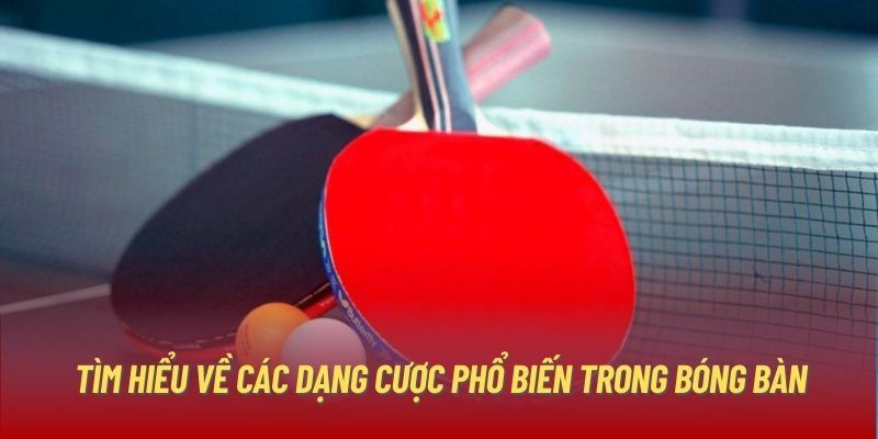 Tìm hiểu về các dạng cược phổ biến trong bóng bàn